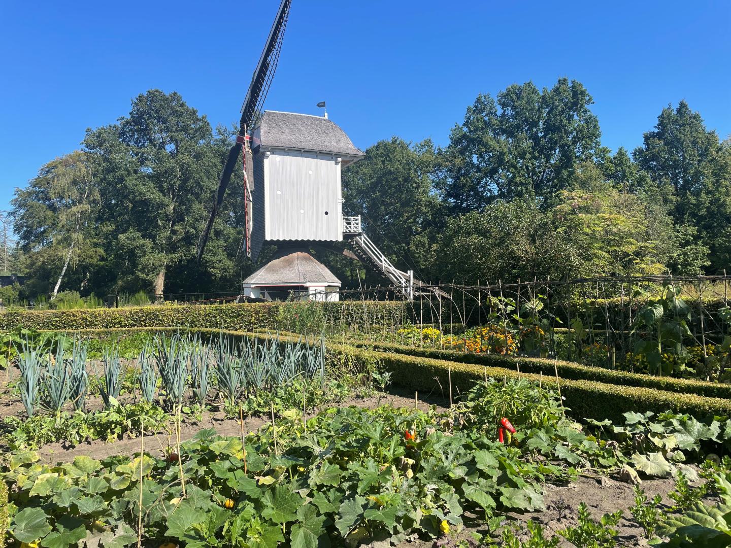 Moestuin molen