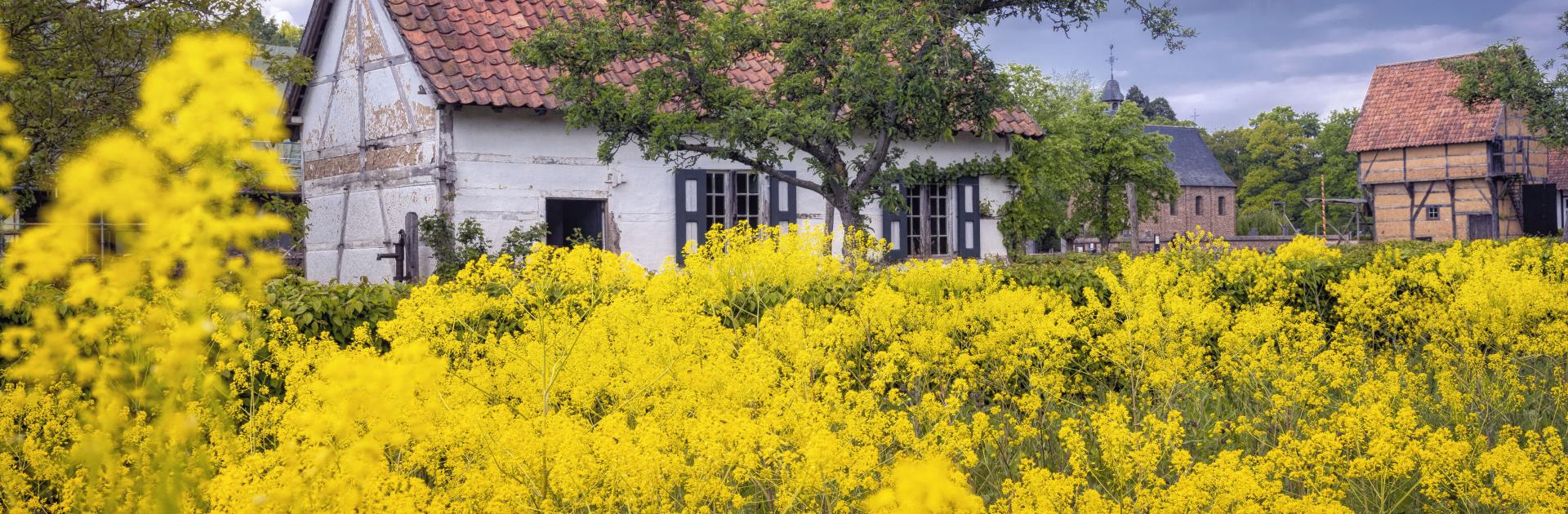 Huis Kortessem Haspengouw