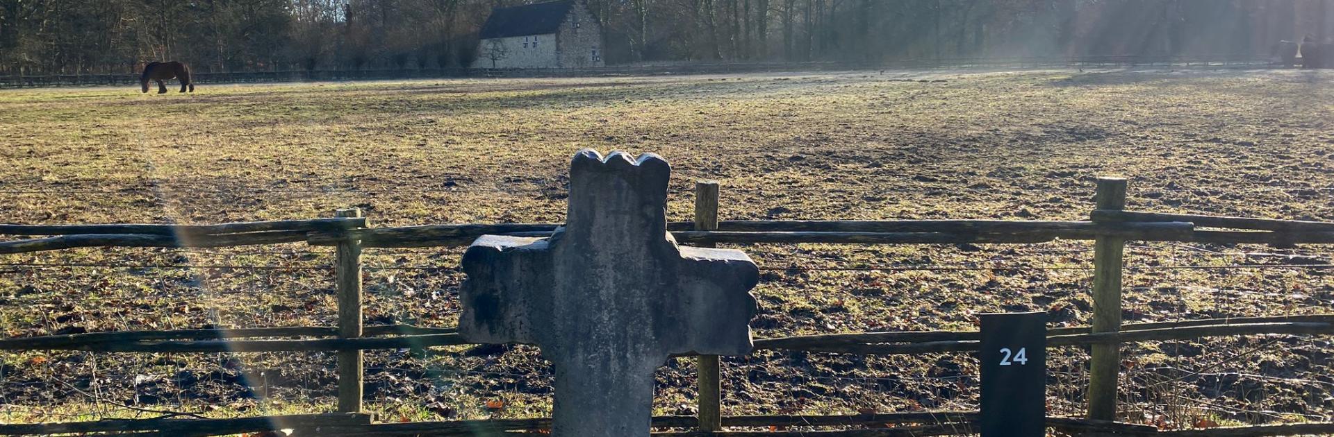 Ongelukskruis Veulen
