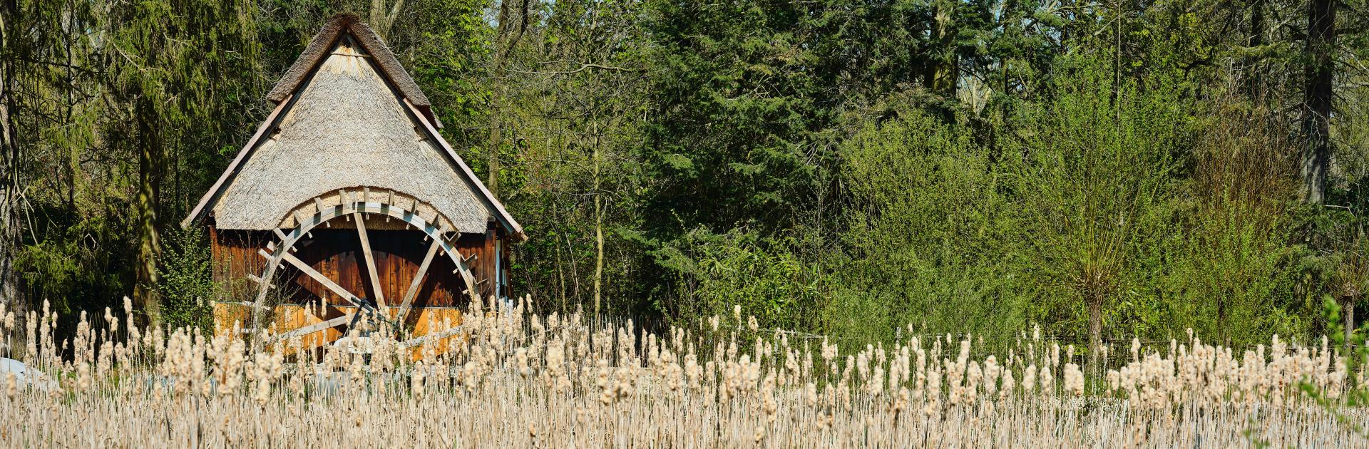 Olieslagmolen Ellikom