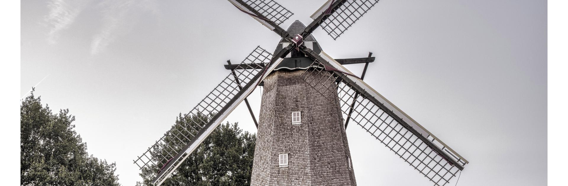 Windmolen Schulen - Bokrijk