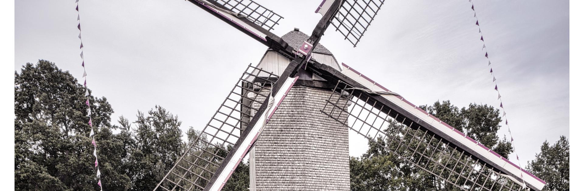 Windmolen Mol-Millegem - Bokrijk