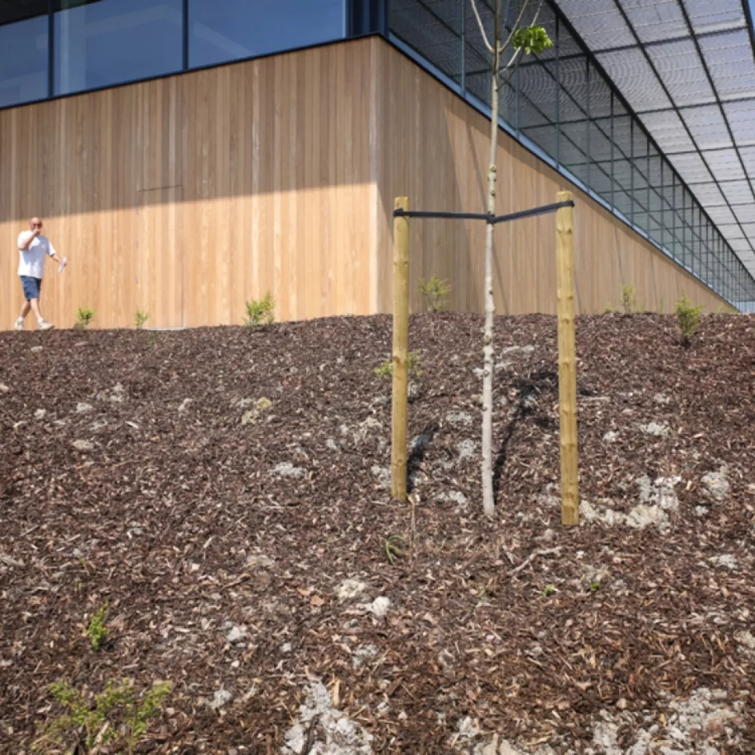 Magazijnruimte met kantoor - Ethnicraft. Het gebouw heeft vanboven grote ramen. Onder de ramen bestaat het gebouw uit houten planken. Rond het gebouw bevinden zich planten zoals een boom.