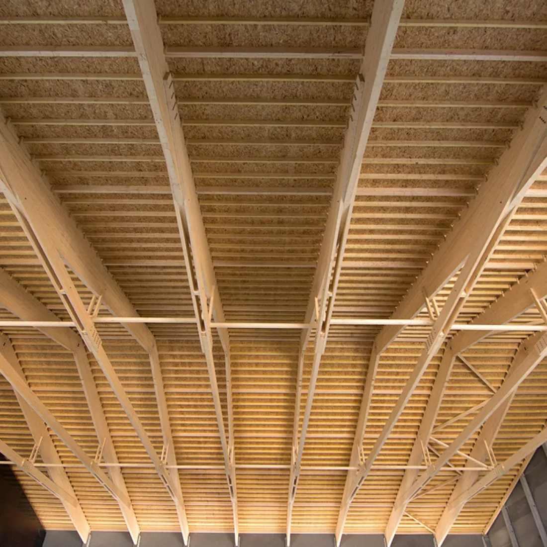 Bulkloods plafond - Stukwerkers. Het plafond bestaat uit hout.