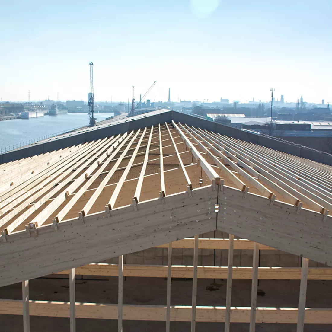 Bovenaanzicht bulkloods - Stukwerkers. Het plafond is opgebouwd met een houtstructuur.