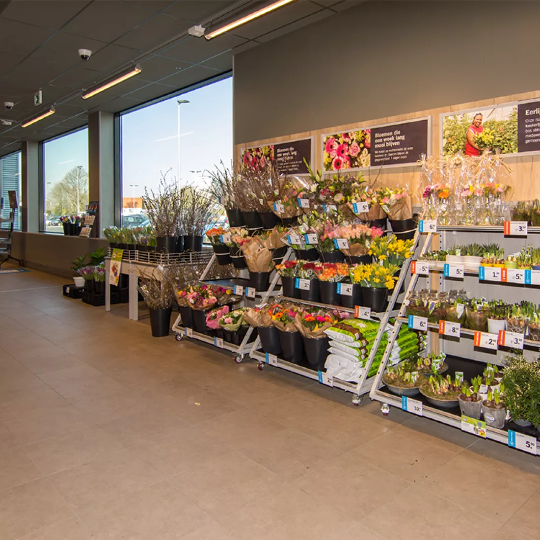 Binnenkant Albert Heijn - handelsruimten Immo Euro. Links bevinden zich drie grote ramen. Rechts bevinden zich rekken met planten en bloemen.