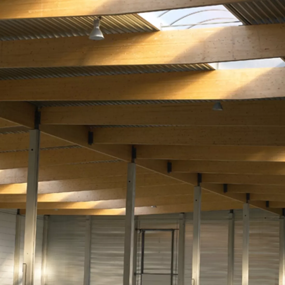 Binnenkant opslagloods - Mintjens. Het plafond bevat enkele lichtstraten.