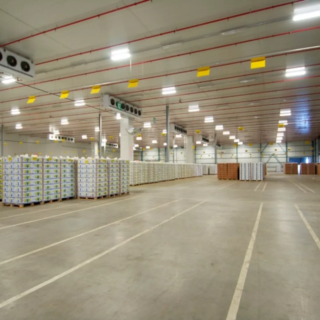 Binnenkant koelloodsen EFP. Op de grond zijn witte vakken geschilderd. In de vakken staan producten opgeslagen.