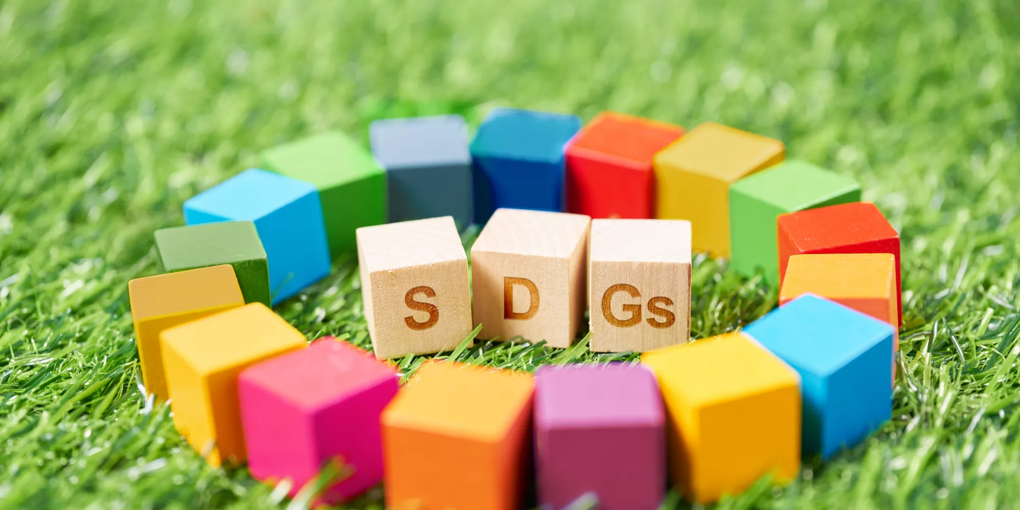 SDGS