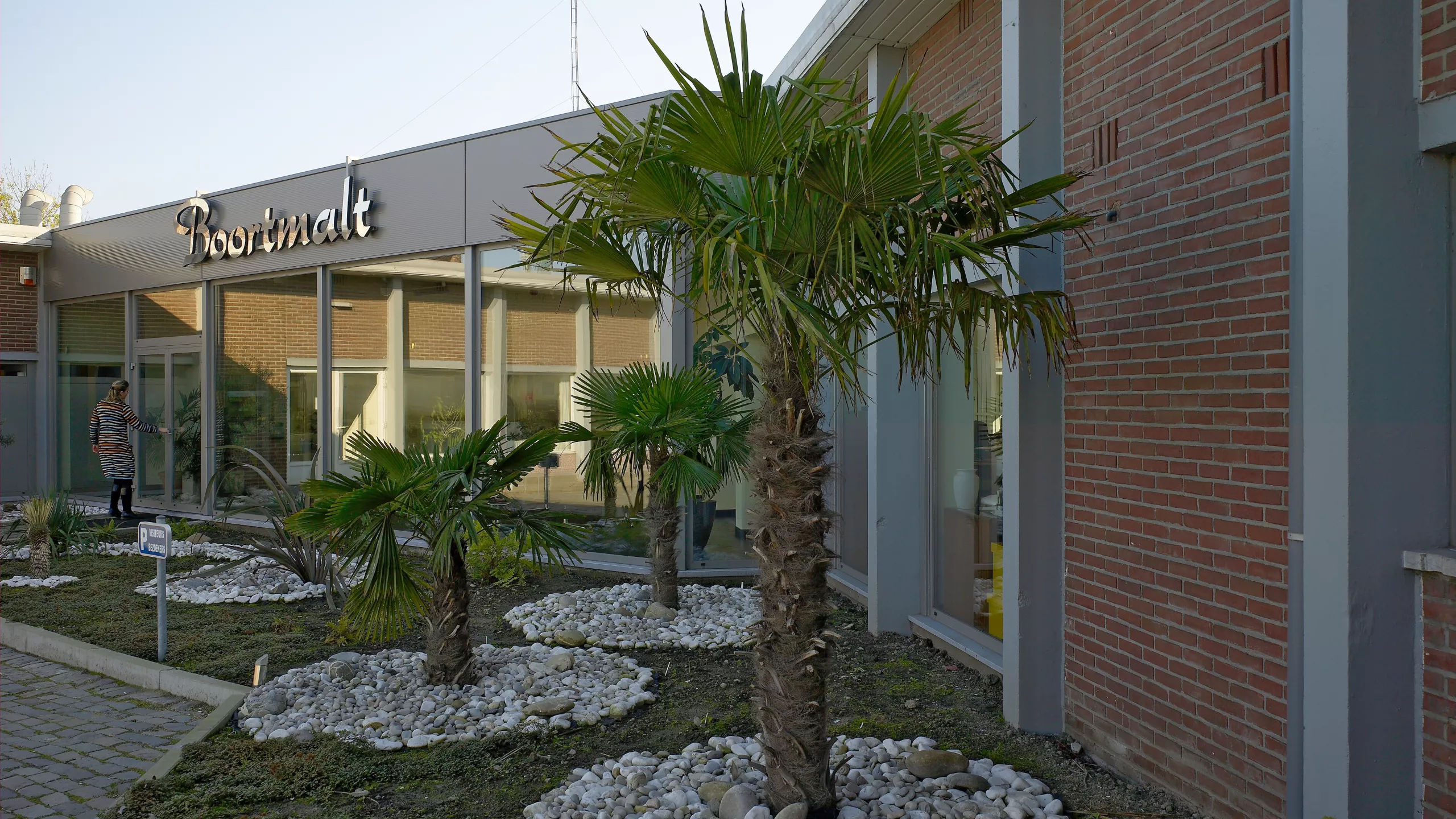 Renovatie Boortmalt inkom. Voor de inkom staan enkele palmbomen.