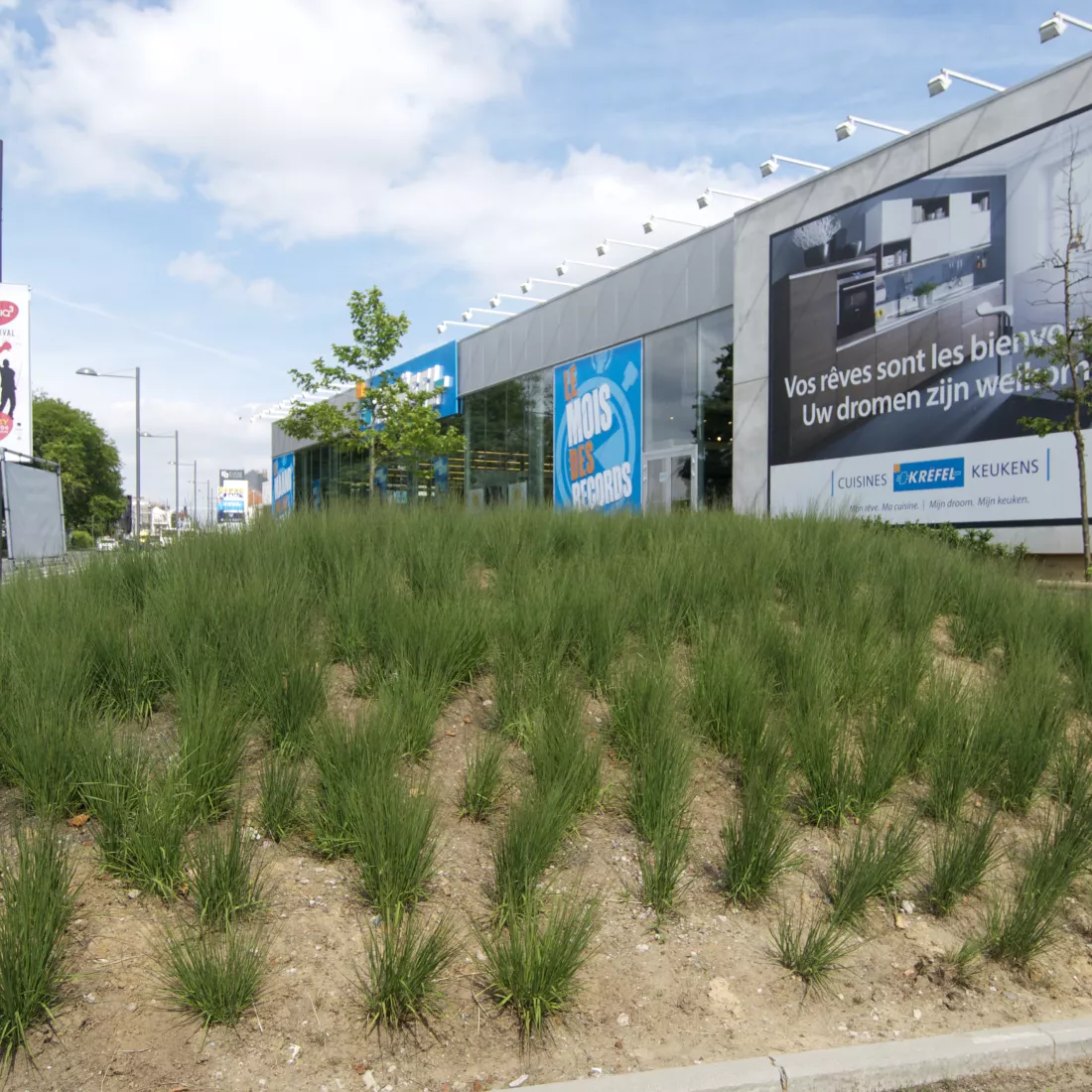 Overzicht buitenkant showroom Brussel. Voor de showroom is een kleine berg met groene planten. De showroom heeft grote ramen.