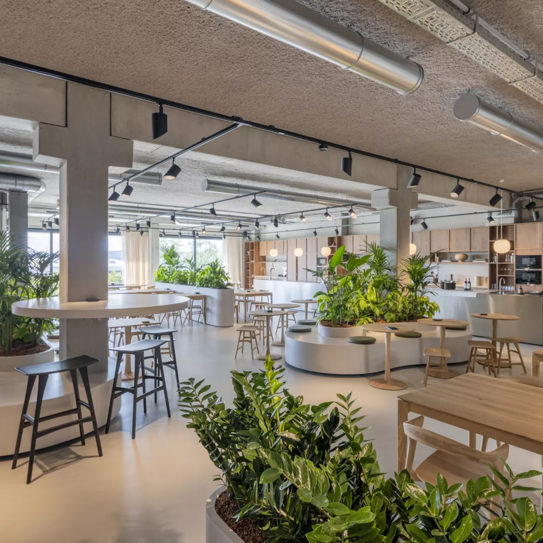 Binnenkant kantoor Ethnicraft - refter. Er staan verschillende soorten tafels en stoelen. Rechts bevindt zich de keuken. Doorheen de ruimte staan verschillende planten.