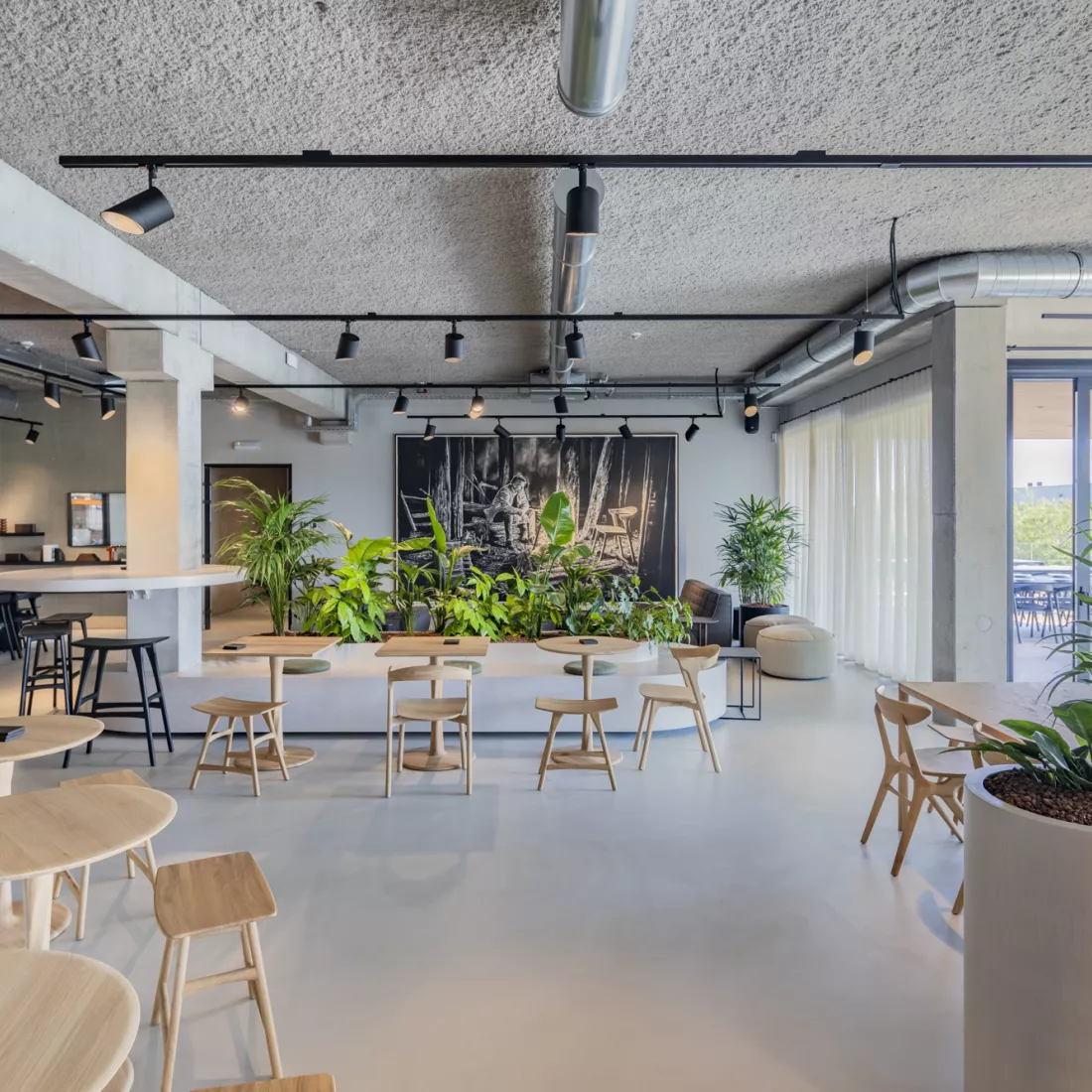 Binnenkant kantoor Ethnicraft - refter. Er staan verschillende soorten tafels en stoelen. Doorheen de ruimte staan verschillende planten. Rechts bevinden zich ramen.