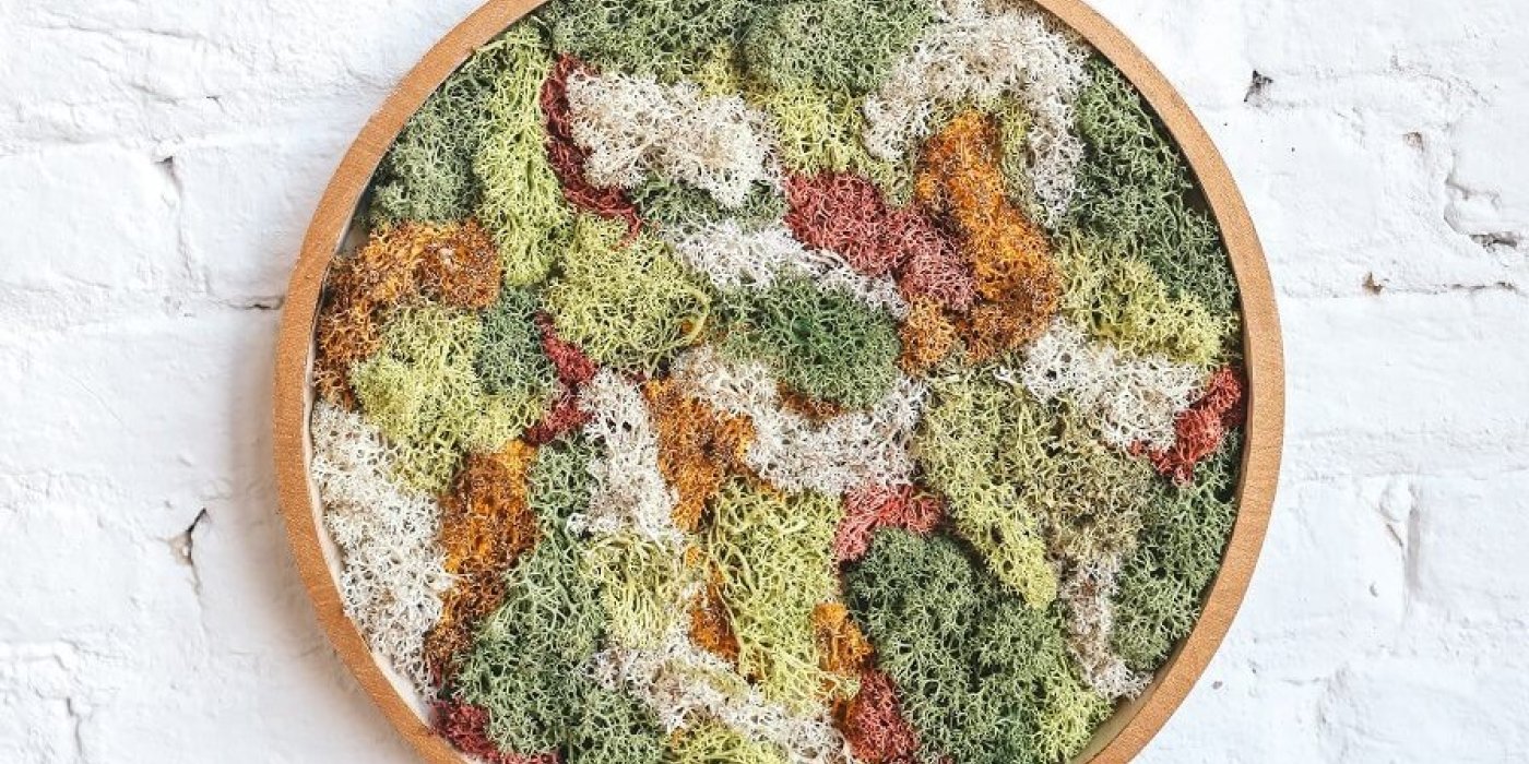 © Leen Van de Sande