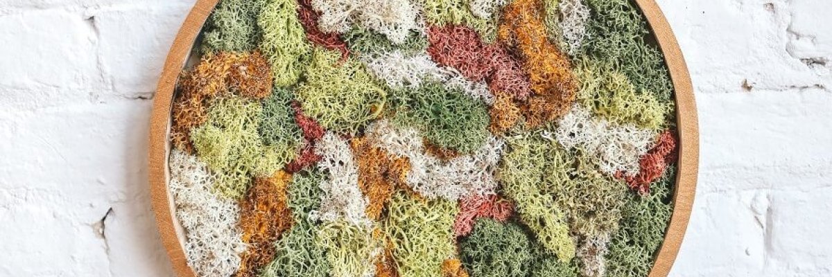 © Leen Van de Sande