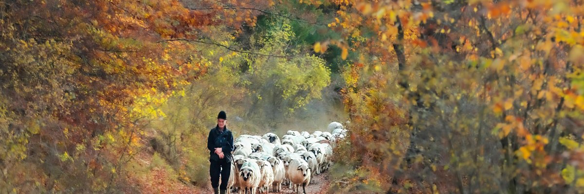 Fotoclub Asse - Fotomuze 2025 © Fotoclub