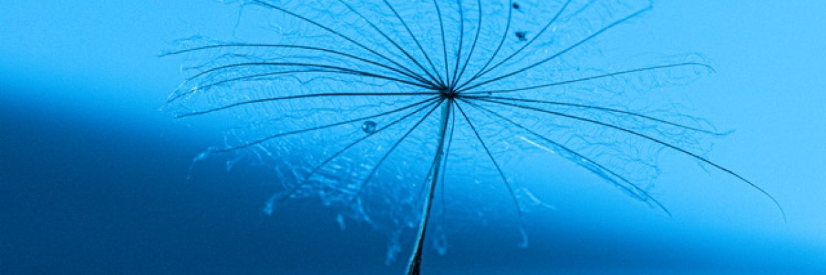 © Frieda Vander Meersch