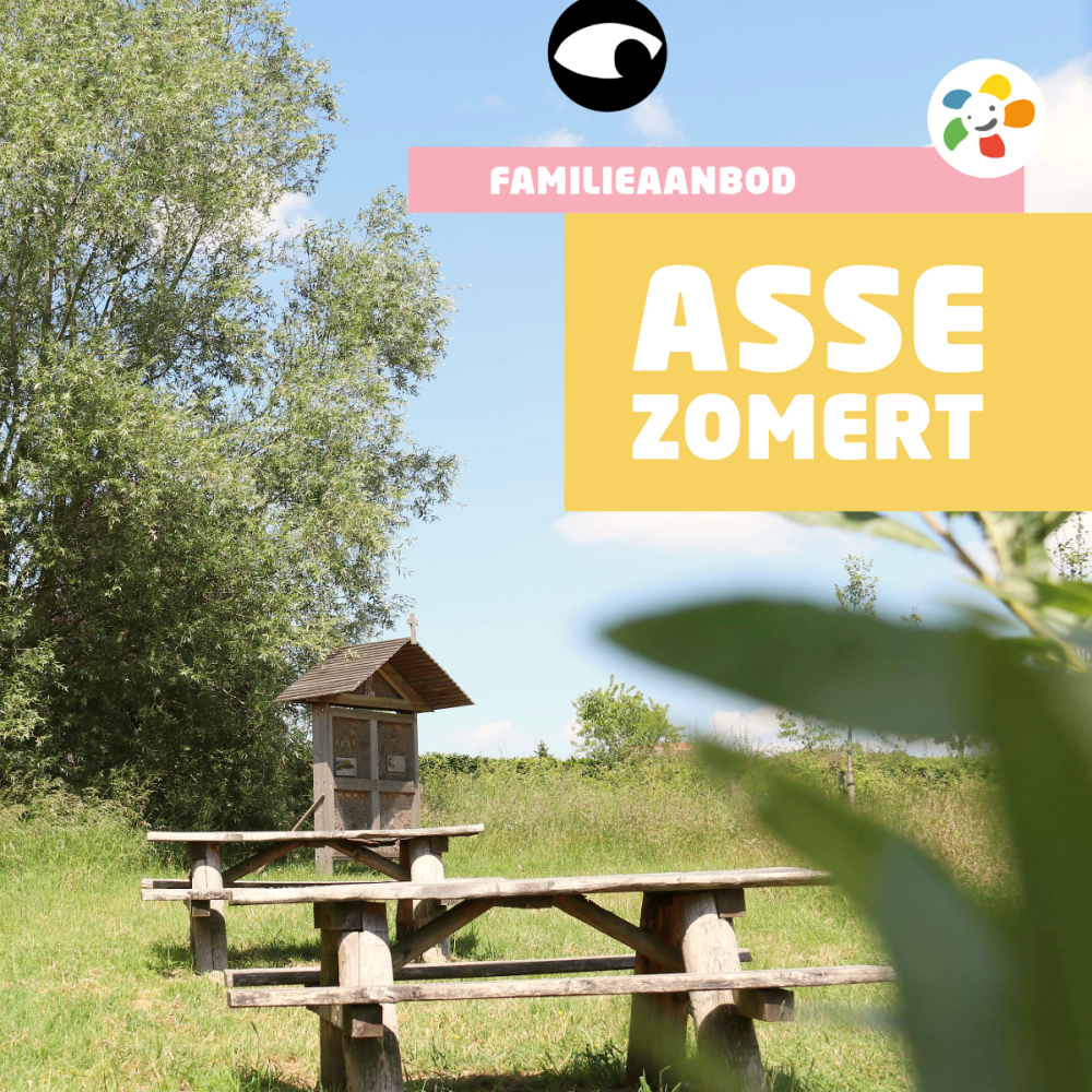 © Huis van het Kind Asse zomert