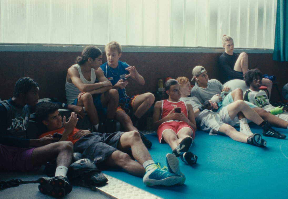 Schoolfilm_La danse des renards