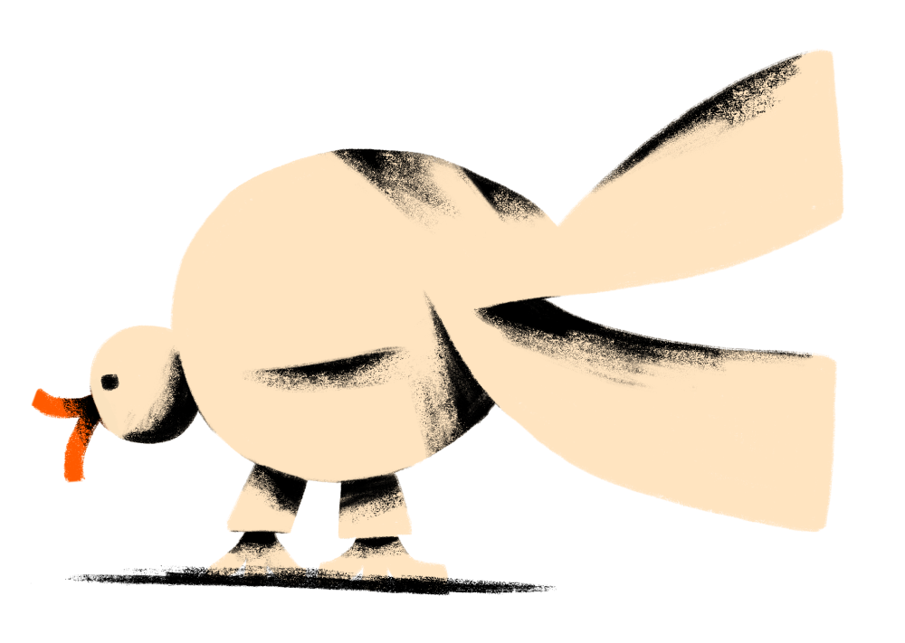 c Elise Vandeplancke c Elise Vandeplancke