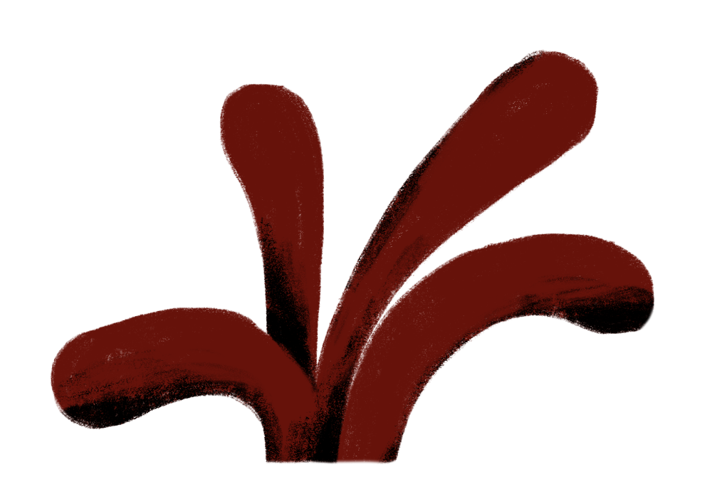 c Elise Vandeplancke c Elise Vandeplancke