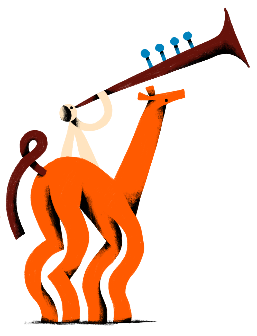 c Elise Vandeplancke c Elise Vandeplancke