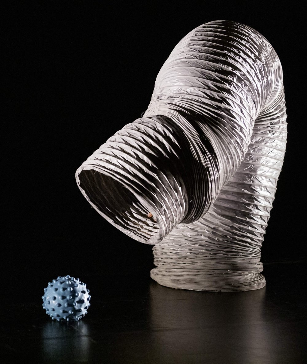 Kietelkriebels c Gilles Destexhe