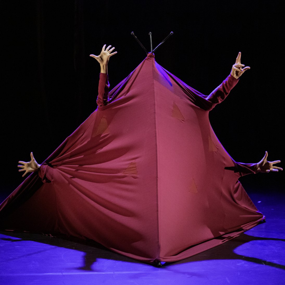 Kietelkriebels c Gilles Destexhe Kietelkriebels c Gilles Destexhe