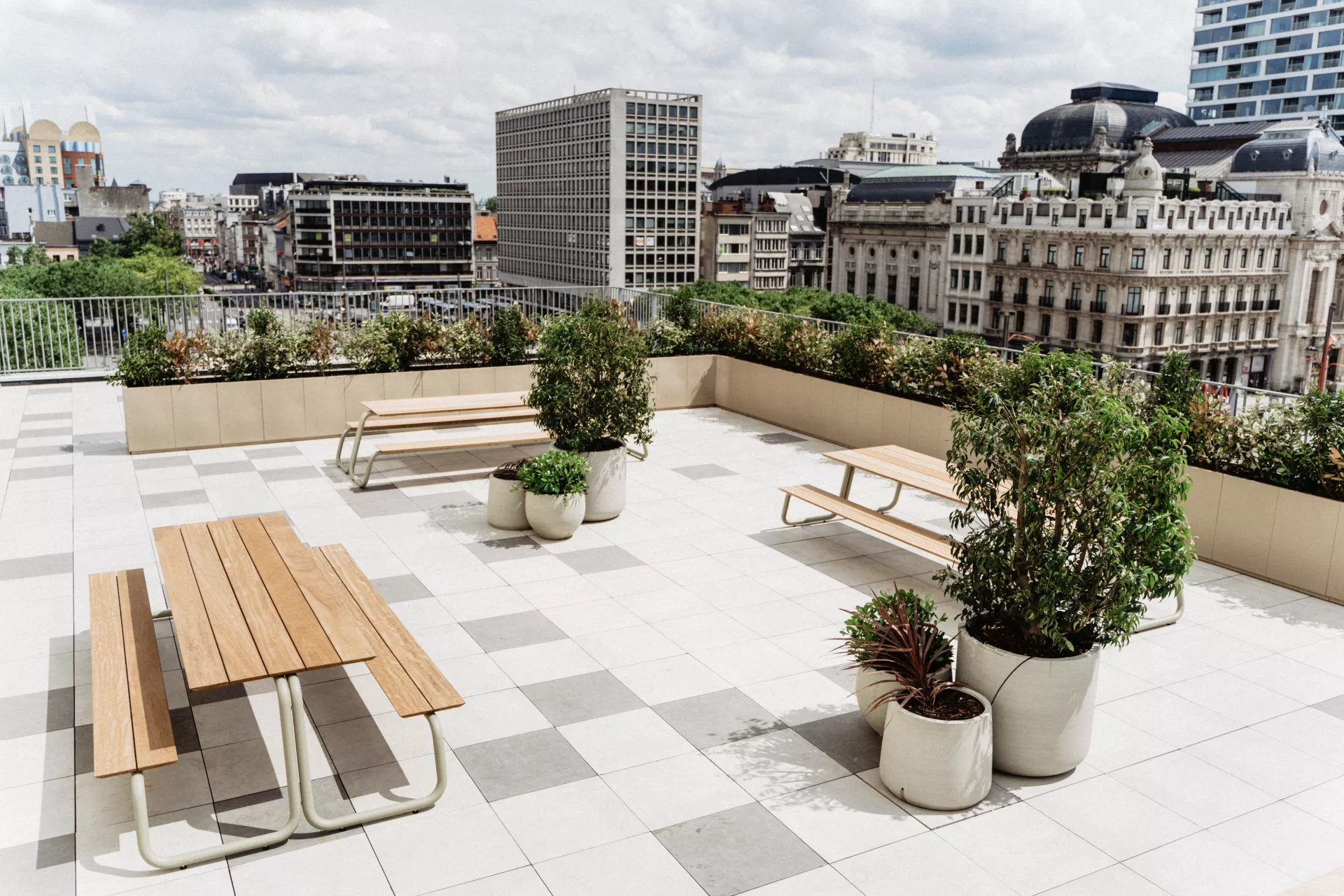 Brain Embassy DAKboutique