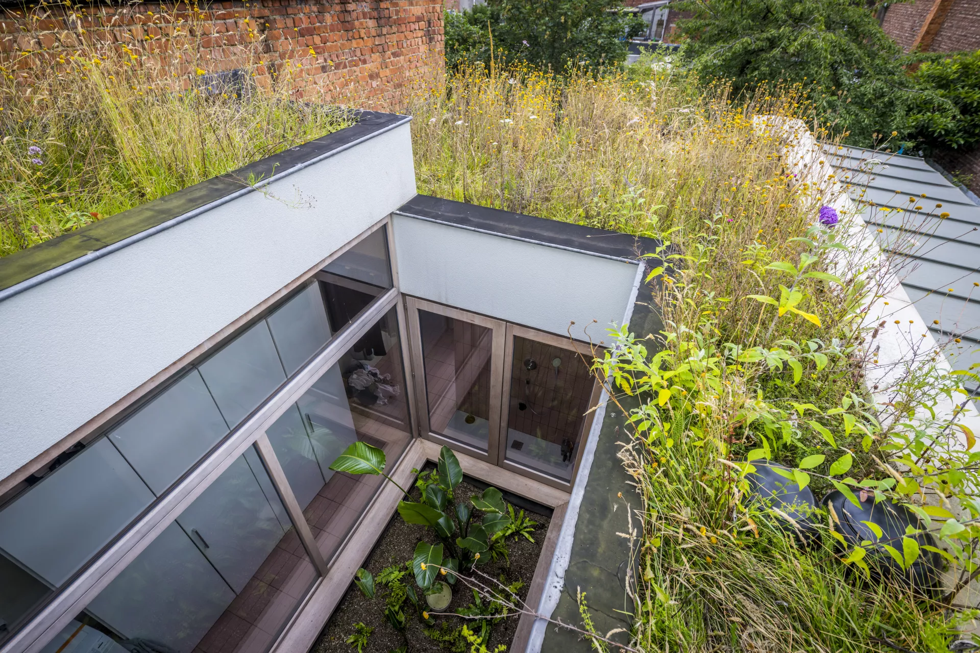 Doe-het-zelf natuurdaken + groendak als patio