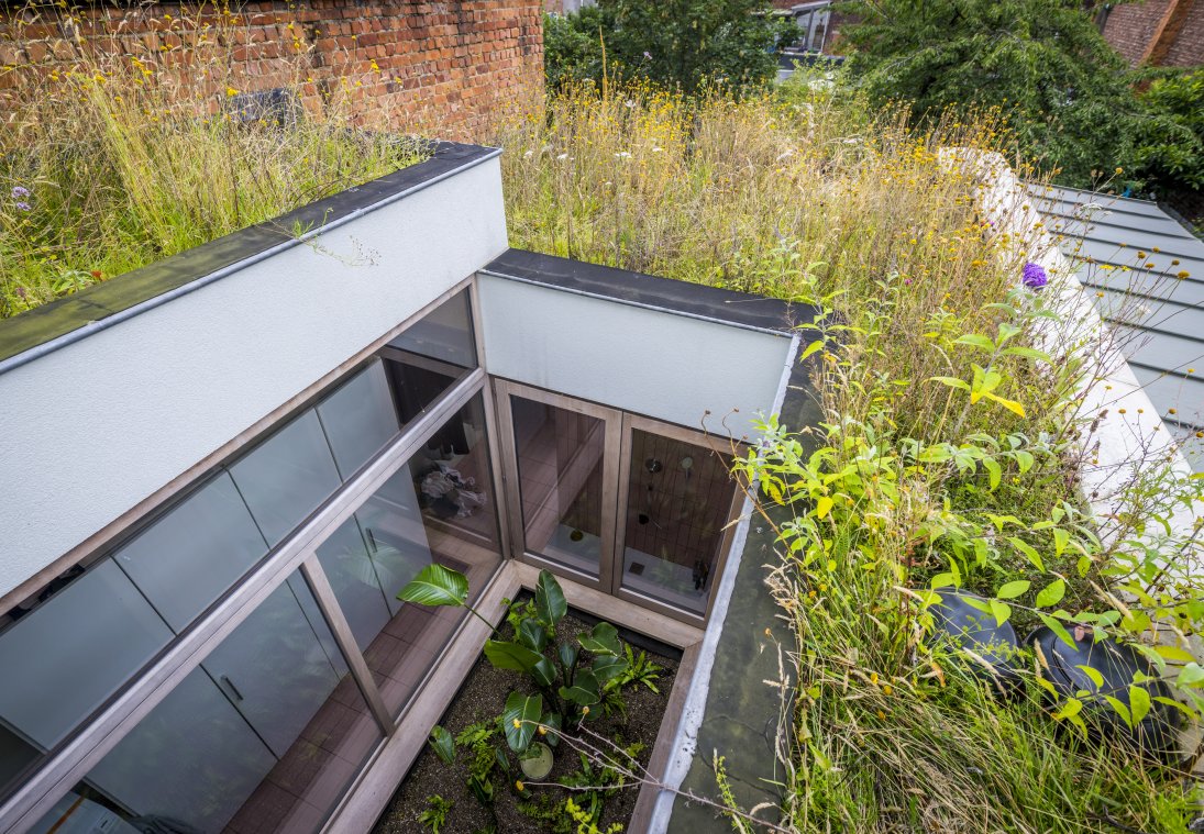 Doe-het-zelf natuurdaken + groendak als patio