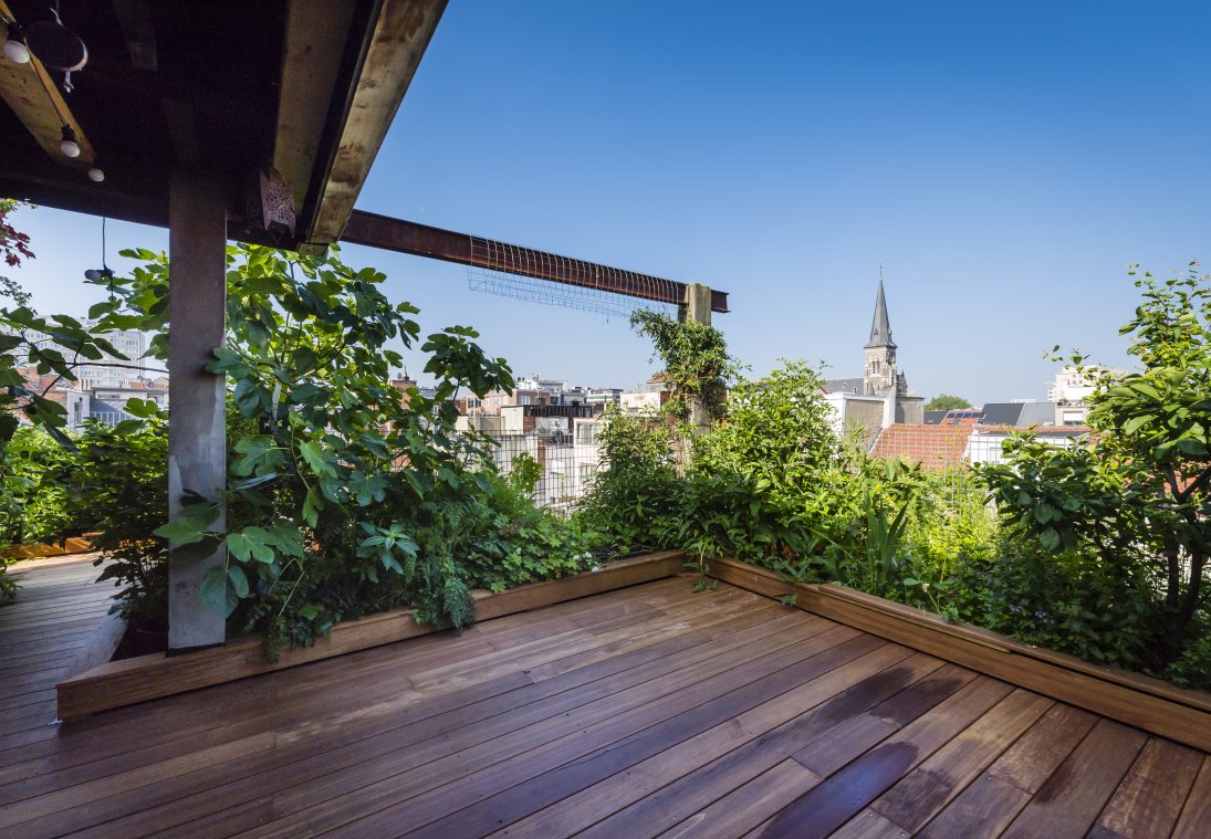 Gebruiksdak met moestuin, terras en muurtuin