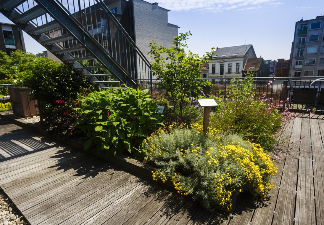 Ecohuis Demodaken