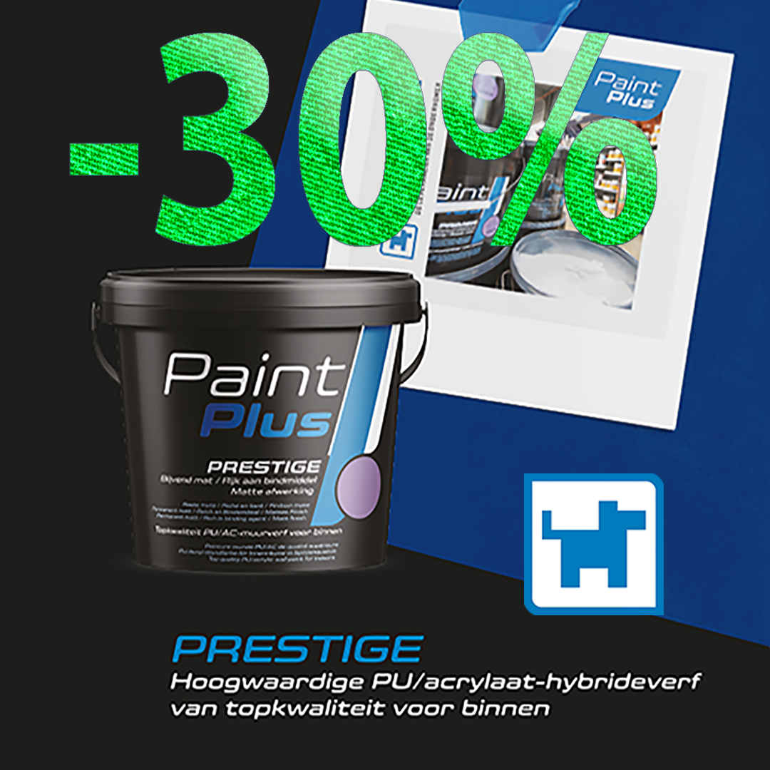 PaintPlus -30prc