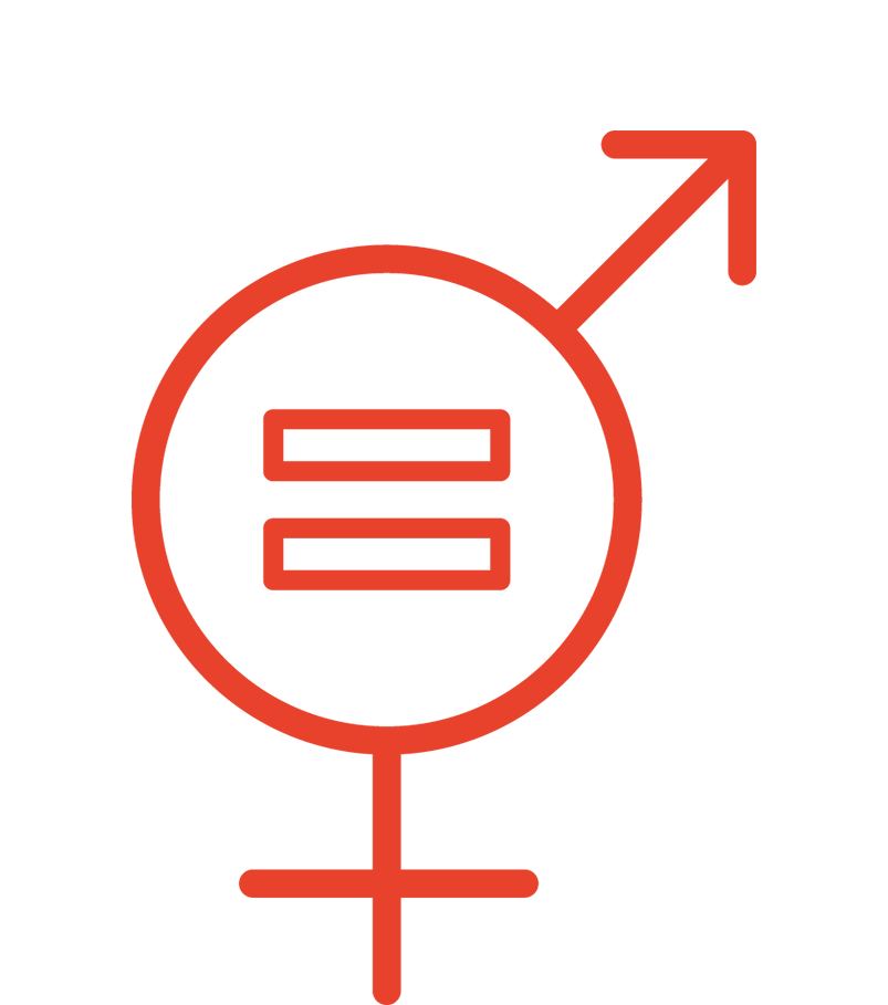 Gendergelijkheid thema icon 
