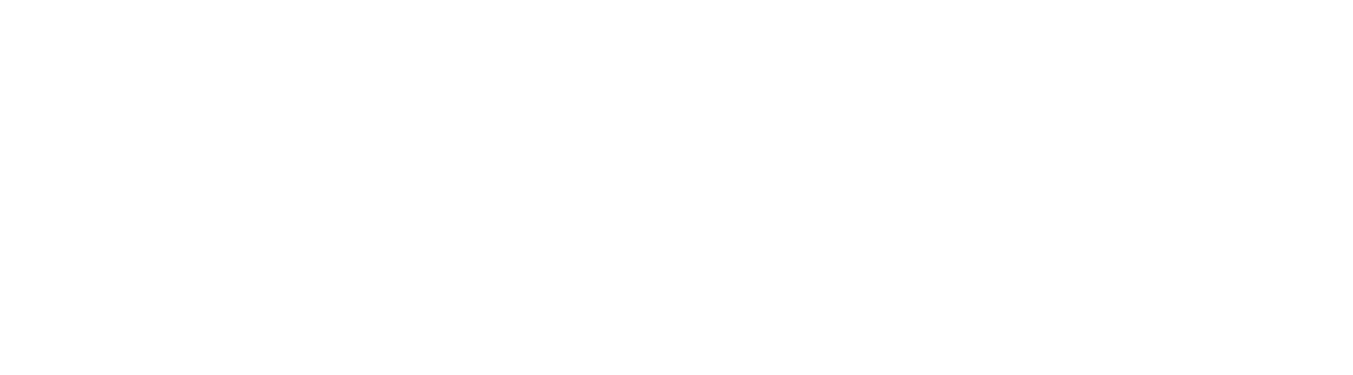 VEF logo ethische fondsenwerving