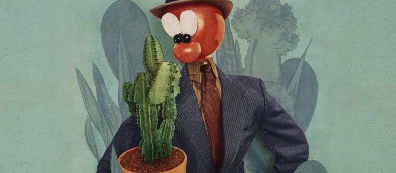 Mr. Broos // Speelman