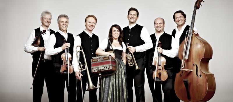 Die Tanzegeiger