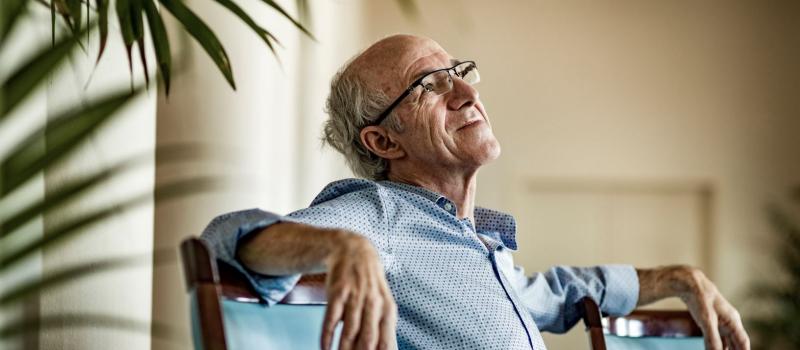 Raymond Van het groenenwoud