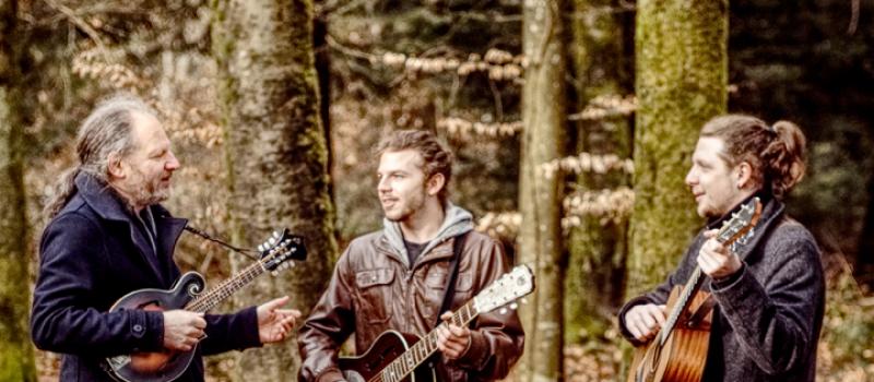 Jim Bows & The Flycatchers