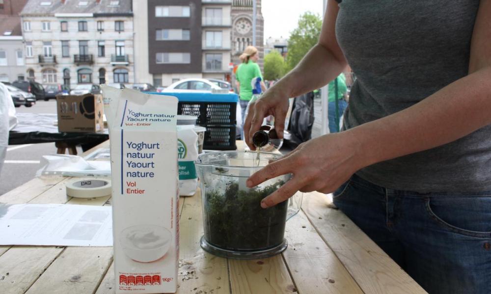 mosexperiment bereiding