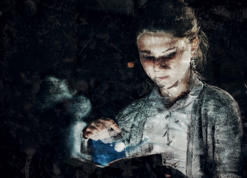 De Gebroeders Schimm