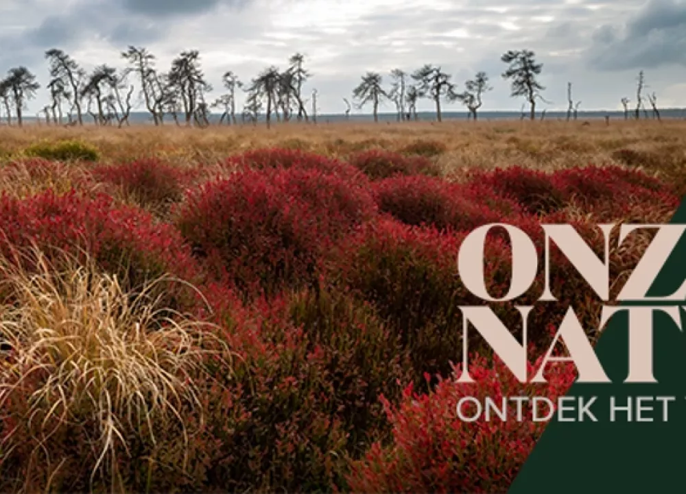 Onze Natuur, De Film