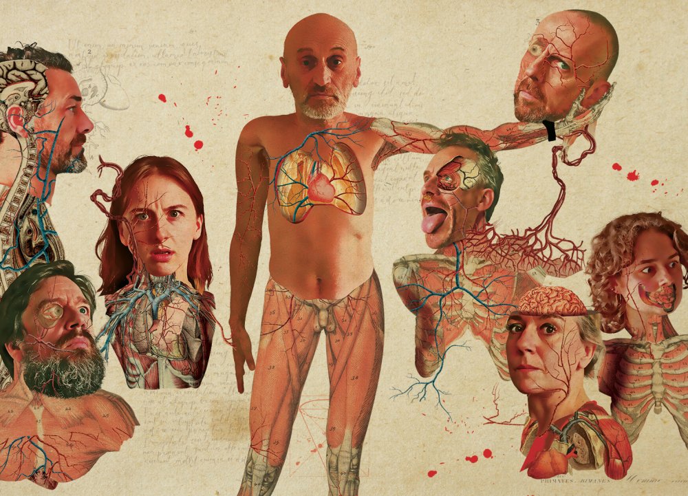 (c) Wisefools-robbinrooze