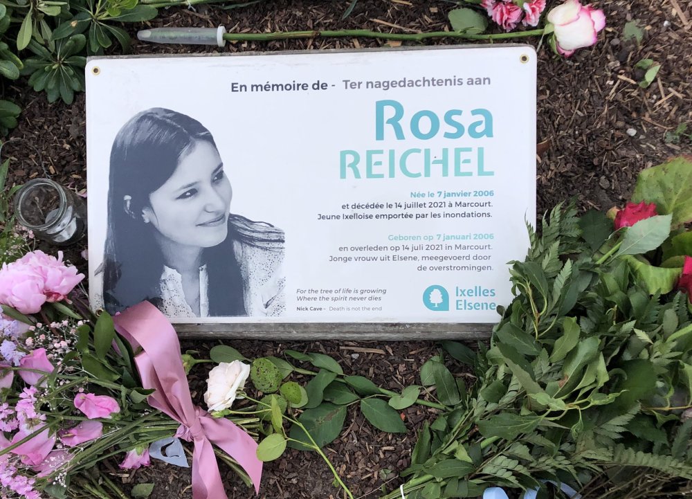 20250203_Plakket Rosa