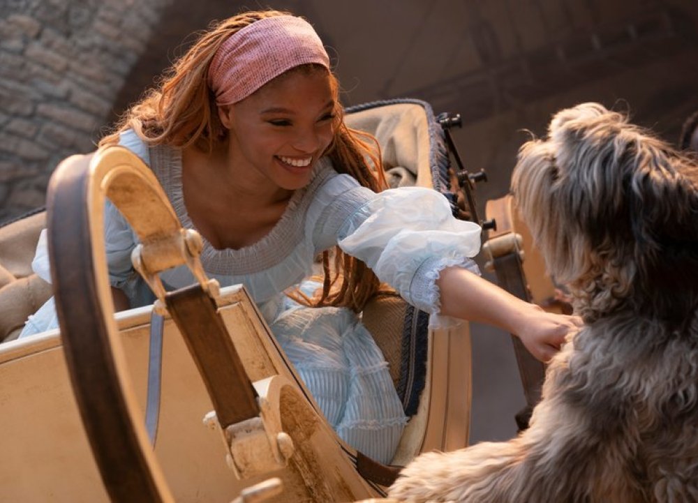 The Little Mermaid @cchetbolwerk