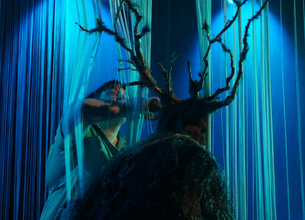 devicky@cchetbolwerk