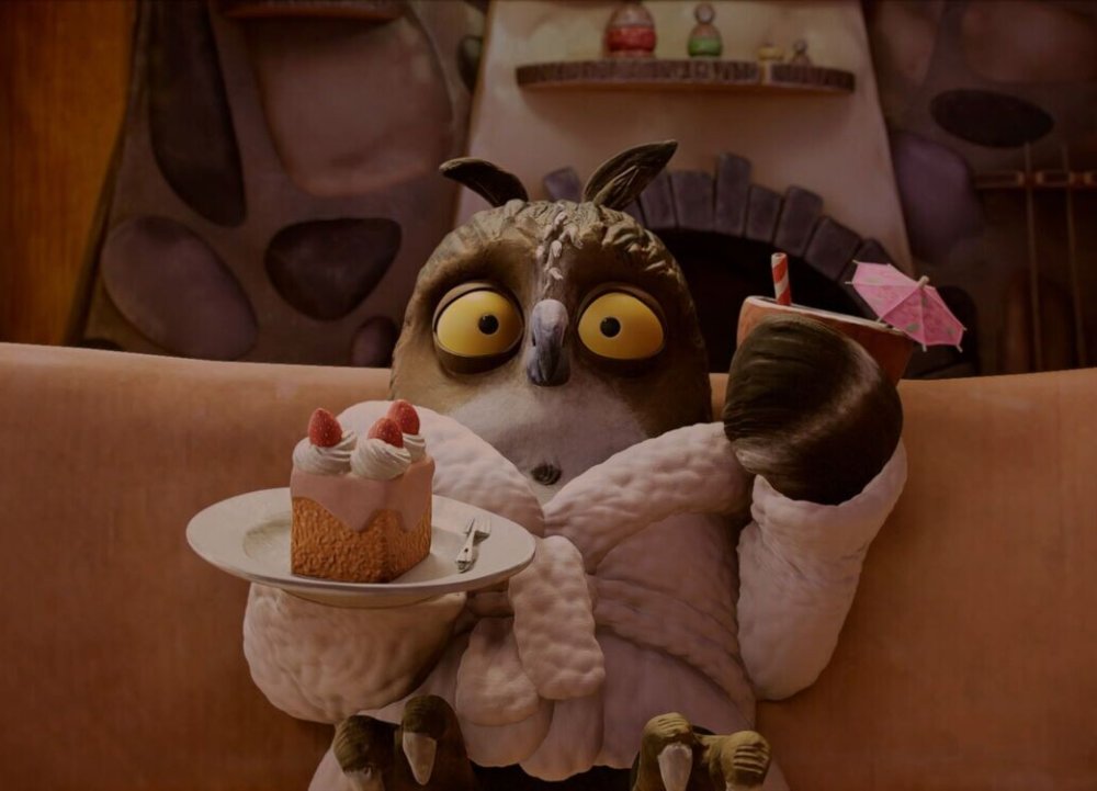 Vosenhaas @cchetbolwerk