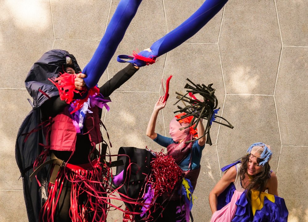 Franje (c)Olympe Tits @cc het bolwerk