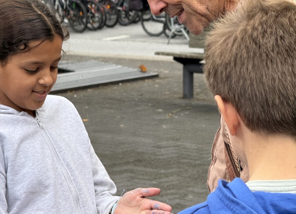 cc Het Bolwerk Plein Publiq